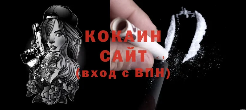 дарнет шоп  Катайск  Кокаин Fish Scale 