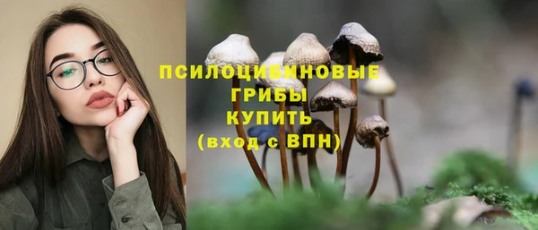 mix Переславль-Залесский