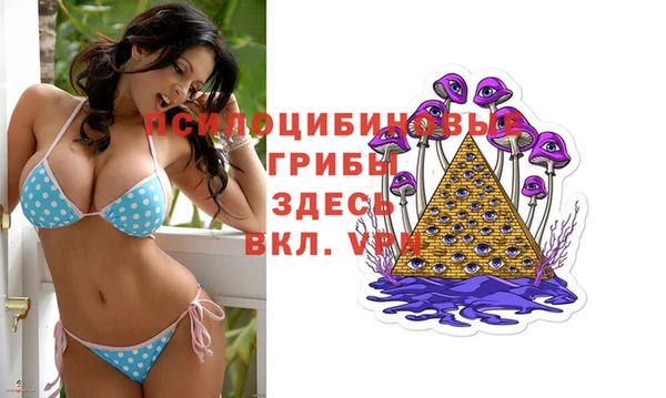 амф Пересвет