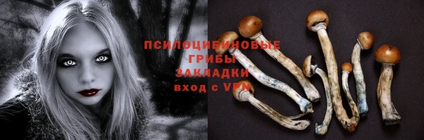 амф Пересвет