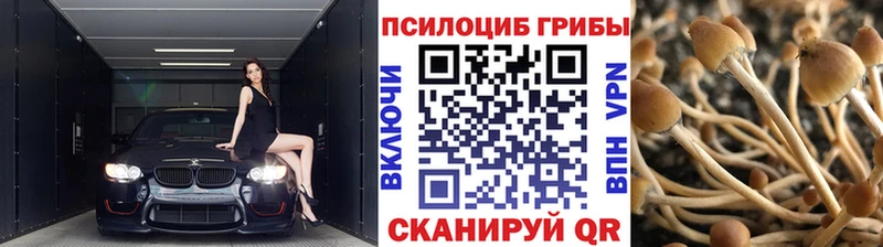 кракен как зайти  Катайск  Псилоцибиновые грибы мицелий  купить наркоту 