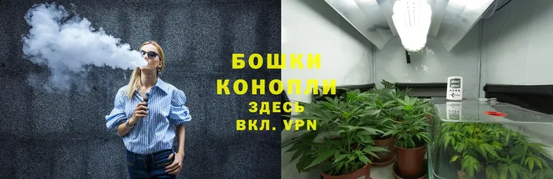 Бошки марихуана OG Kush  Катайск 